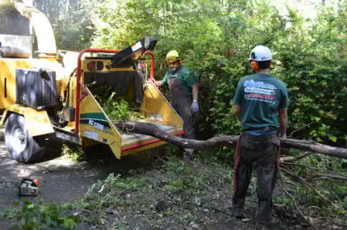 tree services Coffeyville